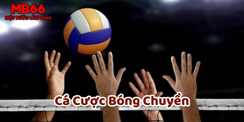 Cá Cược Bóng Chuyền là gì?