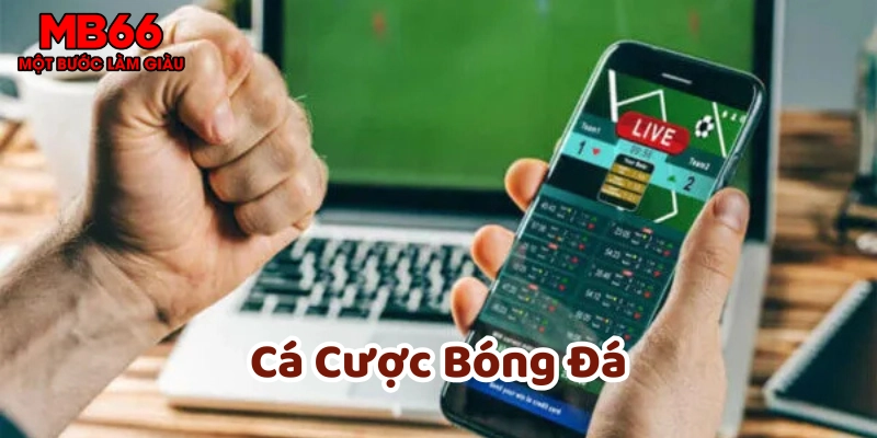 Cá Cược Bóng Đá là gì?