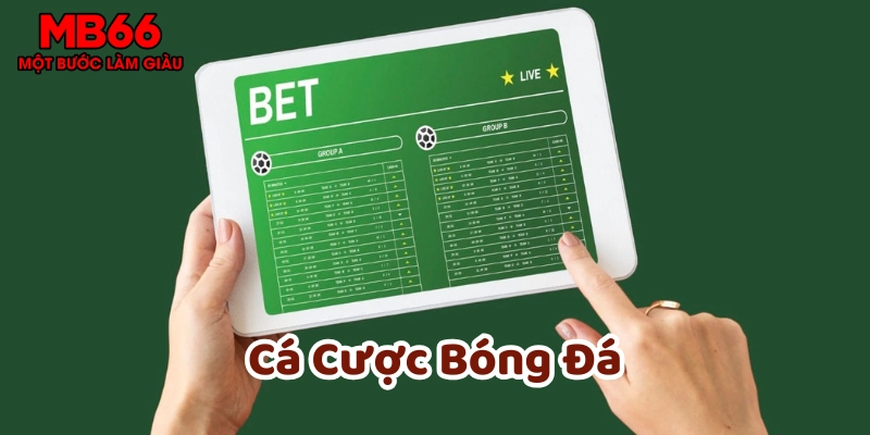 Cách đọc tỷ lệ cá cược bóng đá chính xác