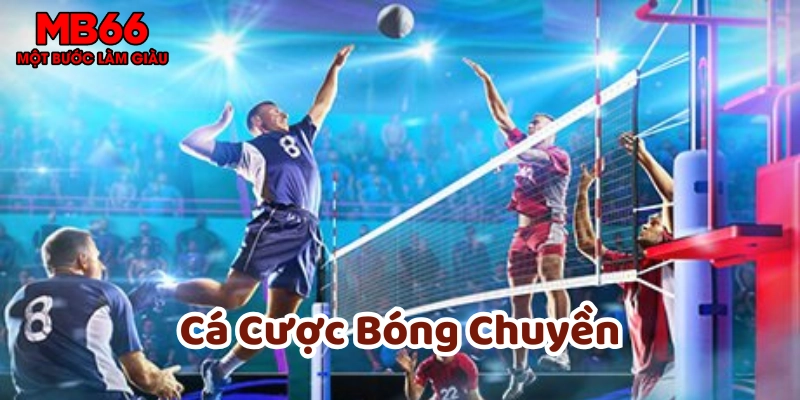 Các kèo trong Cá Cược Bóng Chuyền