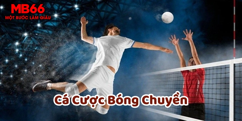 Lời khuyên khi tham gia Cá Cược Bóng Chuyền