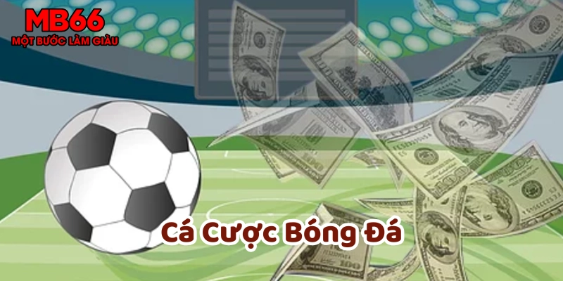 Lời khuyên khi tham gia Cá Cược Bóng Đá