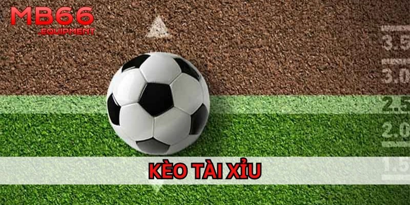 Top Kèo Tài Xỉu bóng đá quen thuộc hiện nay