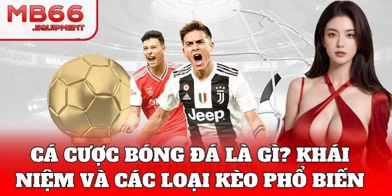 Tổng quan thị trường Cá Cược Bóng Đá hiện nay