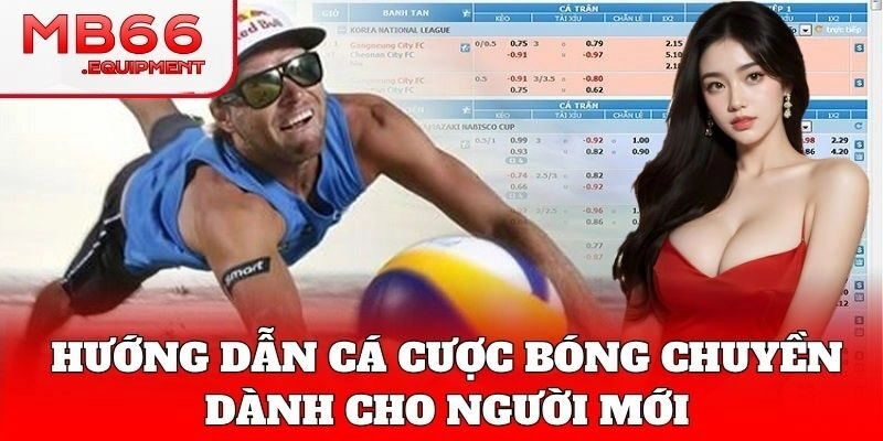 Cách đọc tỷ lệ kèo Cá Cược Bóng Chuyền