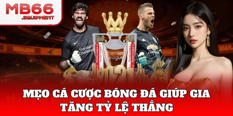 Bí quyết soi kèo Cá Cược Bóng Đá dễ thắng